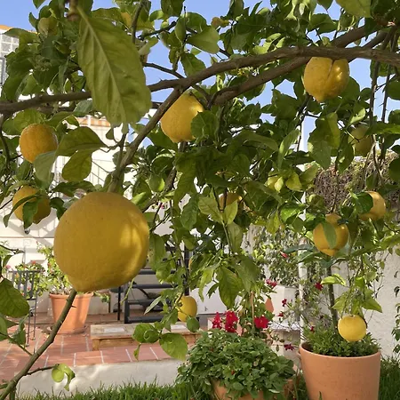Casa Limones Nerja